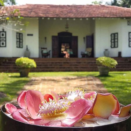 Walahanduwa Templeberg Bed & Breakfast エクステリア 写真
