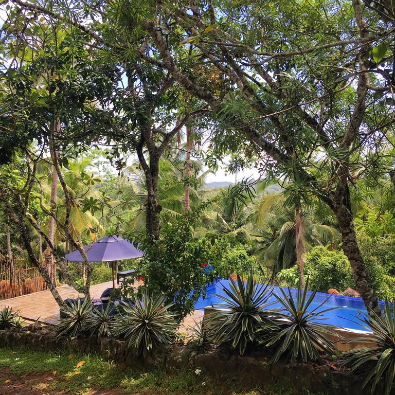 Walahanduwa Templeberg Bed & Breakfast エクステリア 写真