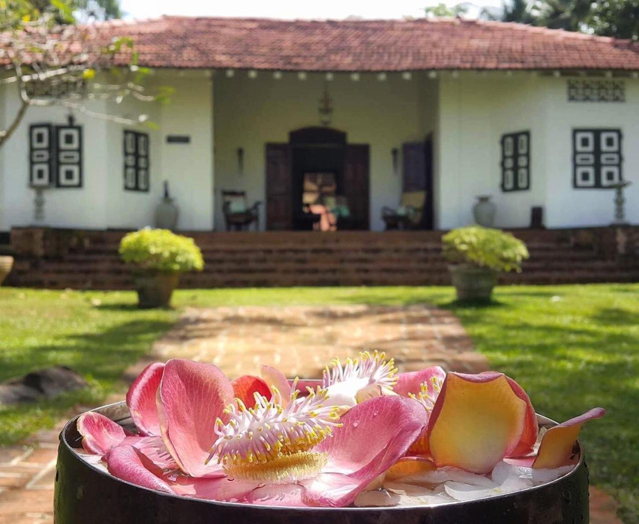 Walahanduwa Templeberg Bed & Breakfast エクステリア 写真