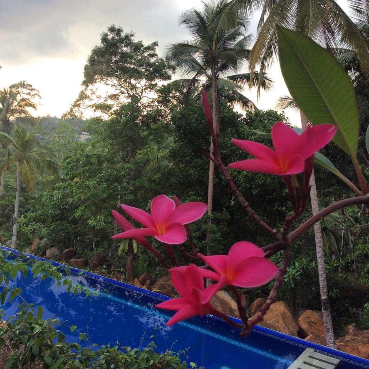 Walahanduwa Templeberg Bed & Breakfast エクステリア 写真